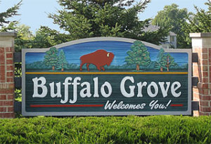 Buffalo Grove pest control, pest control buffalo grove, anderson pest solutions