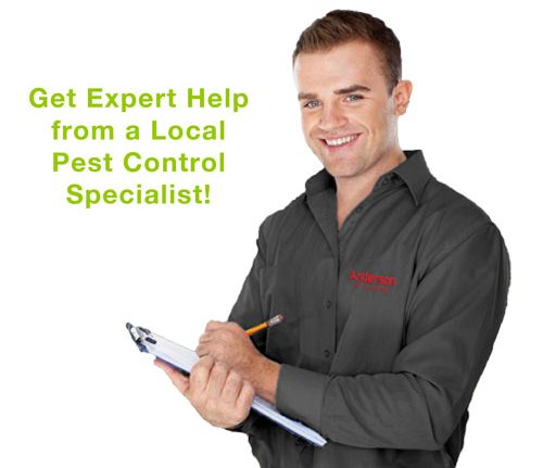 Pest Control Specialists - Anderson Pest Solutions in Illinois and Indiana