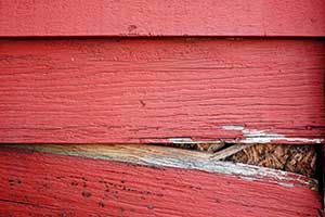 Termite Damage - How to tell If you have Termites in Illinois and Indiana by Anderson Pest Solutions