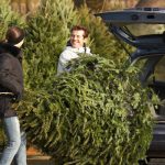 Shake out your Christmas tree to get rid of Christmas tree insects before bringing it into your Chicago IL or Lake County IL home - Anderson Pest Solutions
