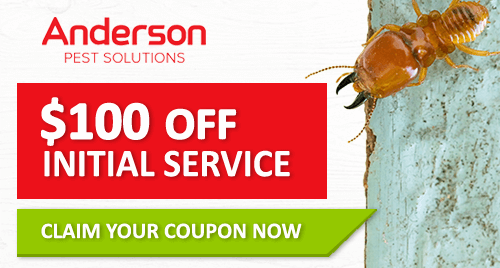 termite protection offer 100 dollars off