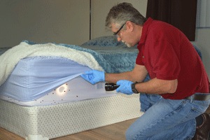 Commercial bed bug inspections in Chicago IL and Indiana - Anderson Pest Solutions