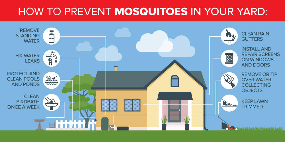 Mosquito prevention tips in Chicago IL homes - Anderson Pest Solutions