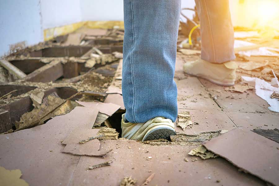 How much damage can termites cause in Indiana and Illinois; Anderson Pest Solutions