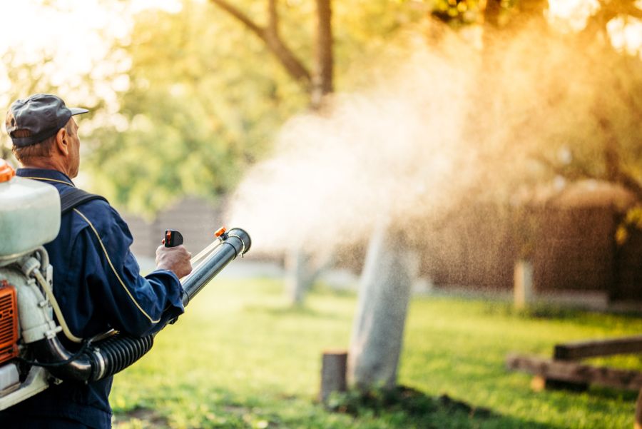 How To Get Rid Of Mosquitoes In Your Yard in Illinois and Indiana; Anderson Pest Solutions