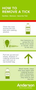 Tick removal guide - Anderson Pest Solutions in Illinois & Indiana