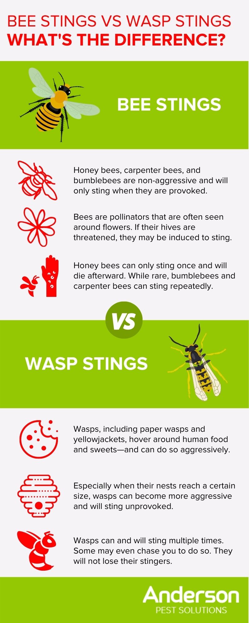 Bee Stings vs Wasp Stings What's the Difference? Illinois & Indiana