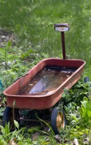 dirty water in abandoned wagon in yard common mosquito breeding site in illinois