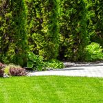 Servicing backyards in Illinois & Indiana - Anderson Pest Solutions