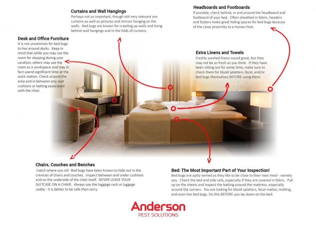 Infographic displaying spots for bed bugs - keep pests away form your home with Terminix Anderson in IL and IN