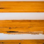 House stairs in a new home with termite damage