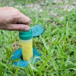 A hand inserting a yellow chemical bait tube into a green plastic termite monitoring station that has been installed flush with the ground in a green lawn.