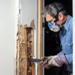 A man wearing a respirator and heavy gloves uses a pry bar to expose the interior of a wall, revealing structural wood studs that have been shredded and destroyed by termites.
