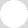 Wasp and hornet extermination by Terminix Anderson in Indiana and Illinois