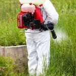 Pest control expert spraying mosquito treatment in a field with tall grass