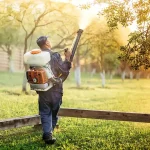 Pest control expert spraying mosquito treatment to tall grass