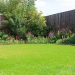 A modern backyard with freshly trimmed grass