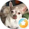 Nancy B. Avatar
